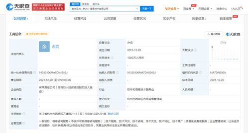 支付宝成立数字马力公司，拓展社会经济咨询服务新版图